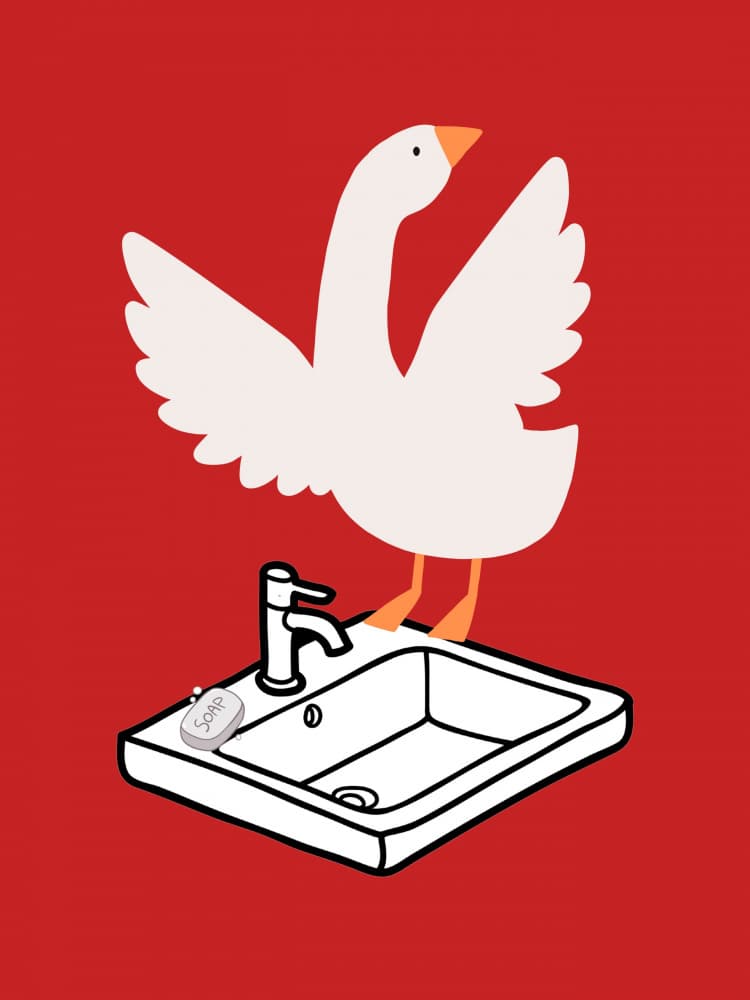 Silly Goose At Sink by Jolly and Dash — canvas wall art