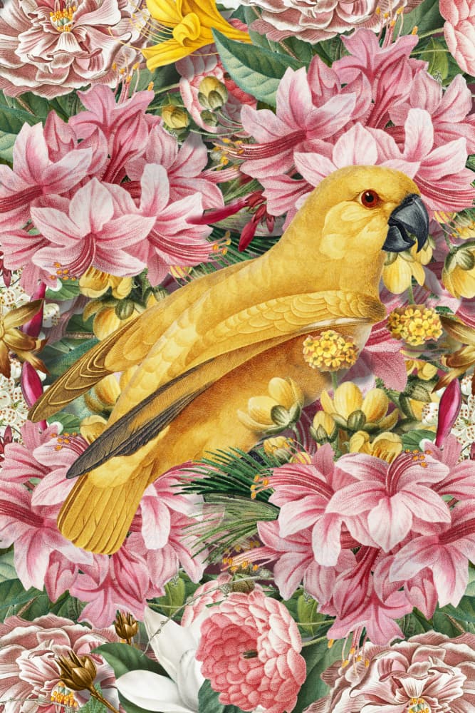 Yellow Parrot Tropical Flowers by Marja van den Hurk — canvas wall art