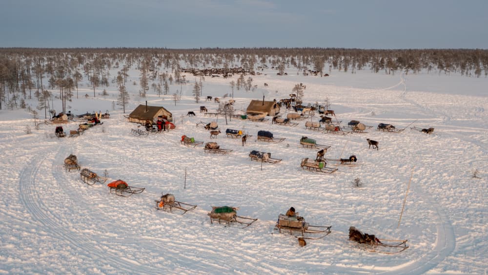 Arctic Winter Reindeer Camp by Marcel Rebro — canvas wall art