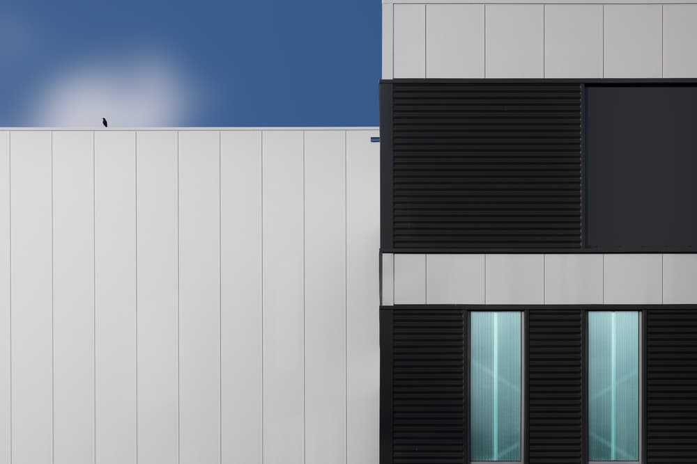 The lonely bird by Jeroen van de Wiel — canvas wall art