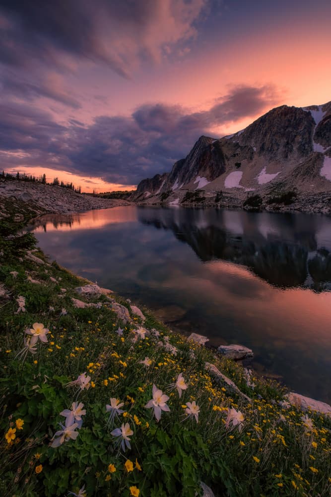 Colorful Mountain Lake Wildflowers by Mei Xu — canvas wall art