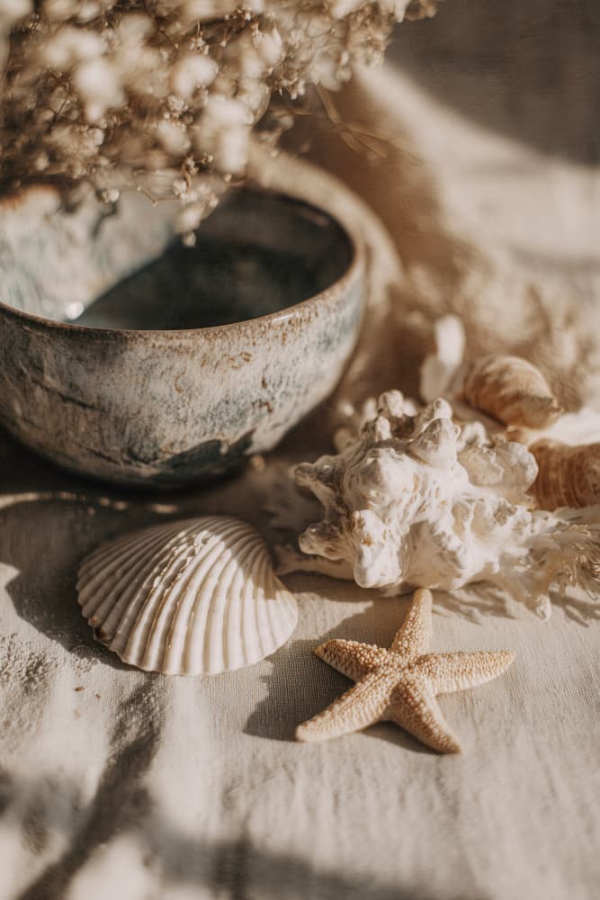 Warm Coastal Treasures by Treechild — canvas wall art