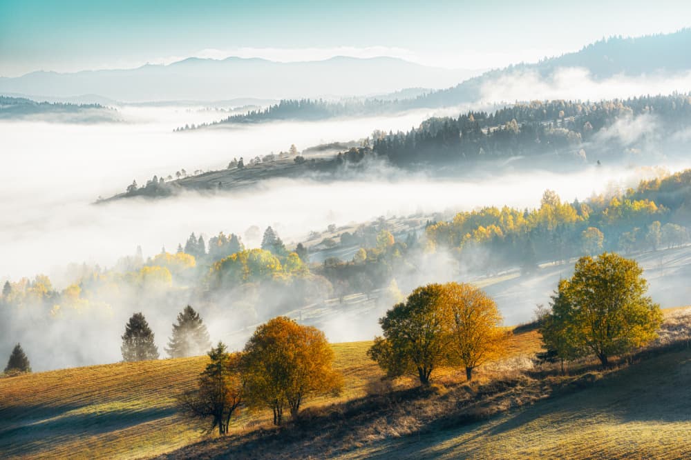Golden Morning Mist by Els Keurlinckx — canvas wall art