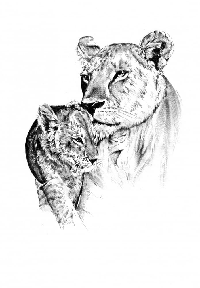 Lioness Cub Love by Kulik — canvas wall art