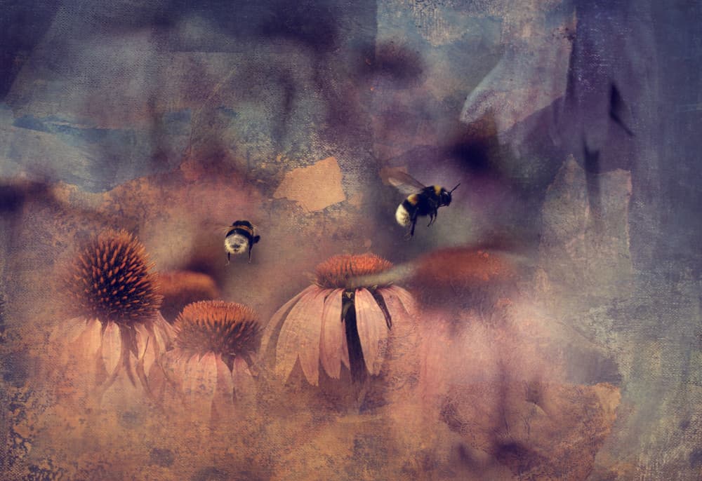 Dreamy Bees and Flowers by Ellen van Deelen — canvas wall art