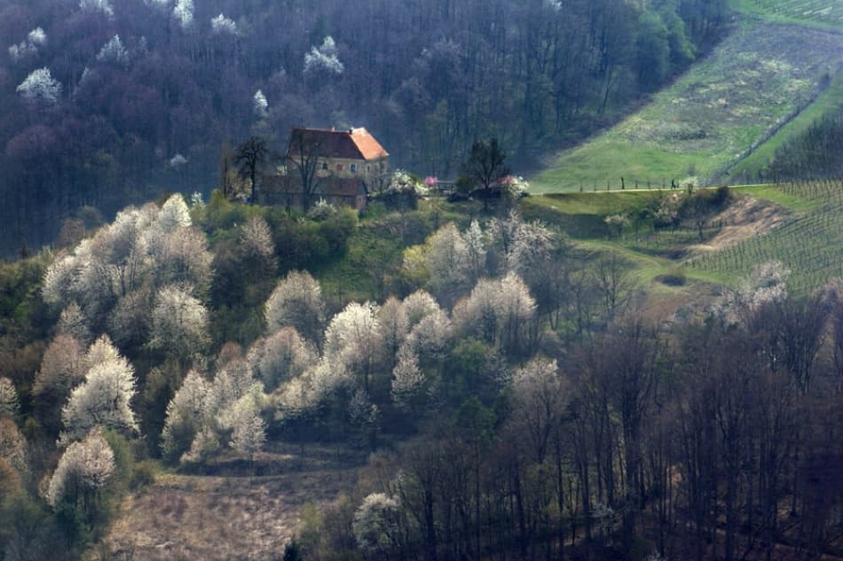 Blooming Hilltop Castle by Jure Kravanja — canvas wall art