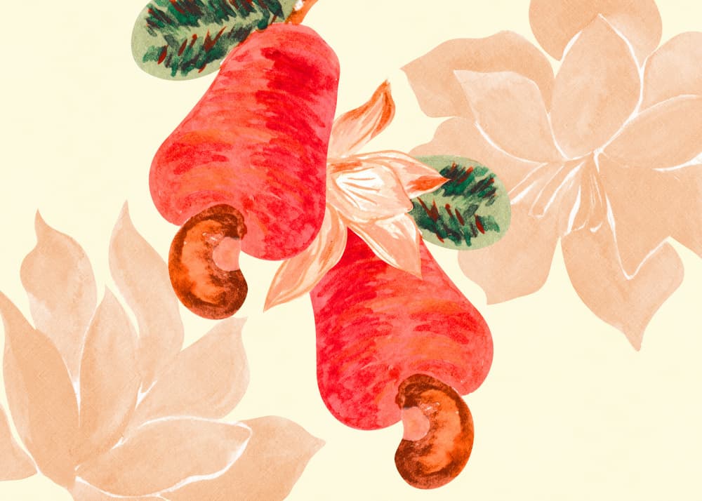 Vibrant Cashew Botanical by DePaulo — canvas wall art