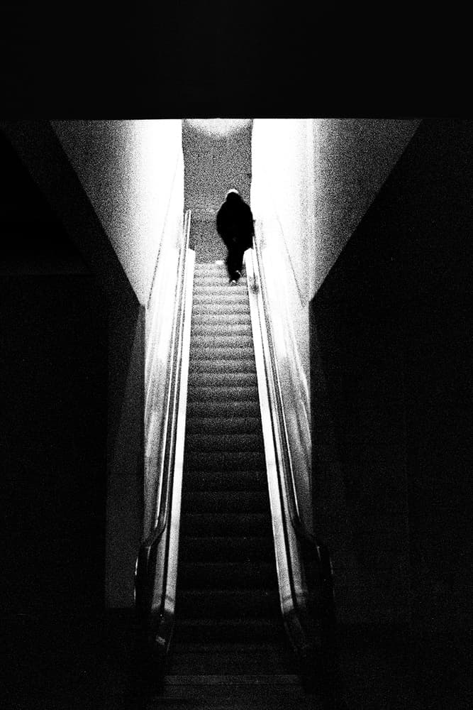 Ascending into Light by Paulo Abrantes — canvas wall art
