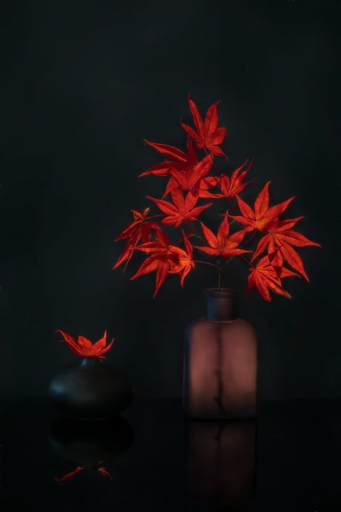 Elegant Red Maple by Dennis Zhang — canvas wall art