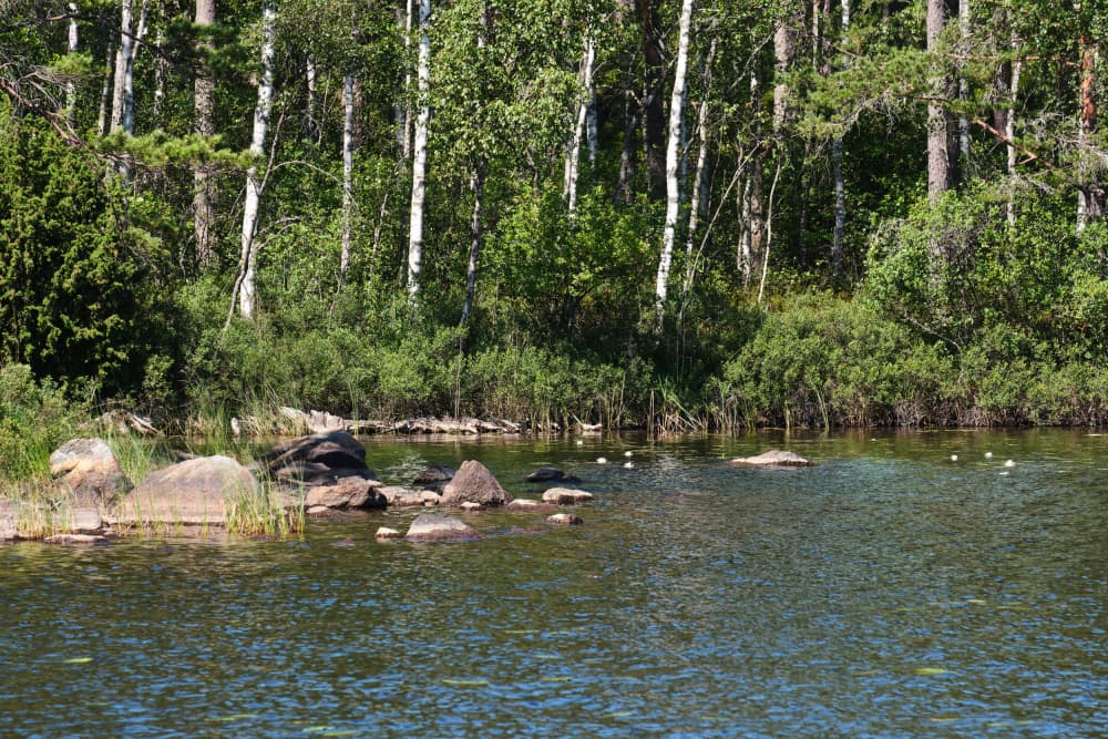 Peaceful Forest Lake by Geertjan Plooijer — canvas wall art