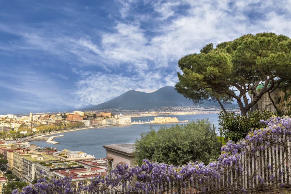 Wisteria Over Naples Bay by Melanie Viola — canvas wall art