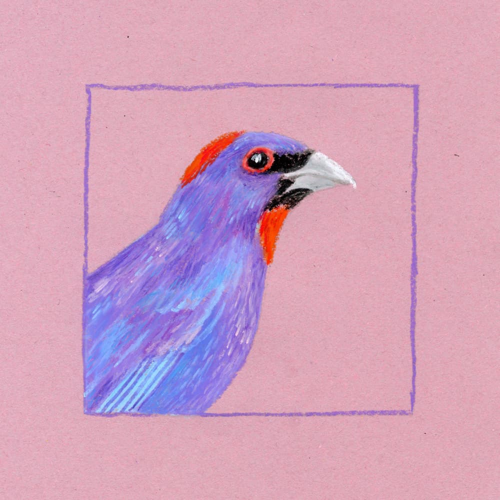 Vibrant Purple Bird by Martina Scott — canvas wall art