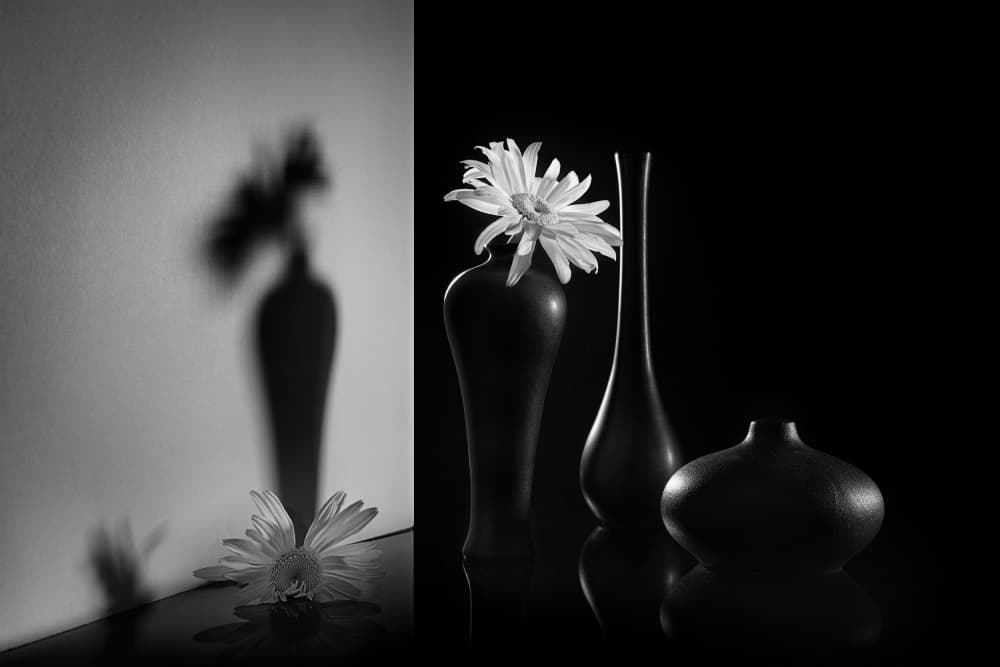 Monochrome Dual Floral by Lydia Jacobs — canvas wall art