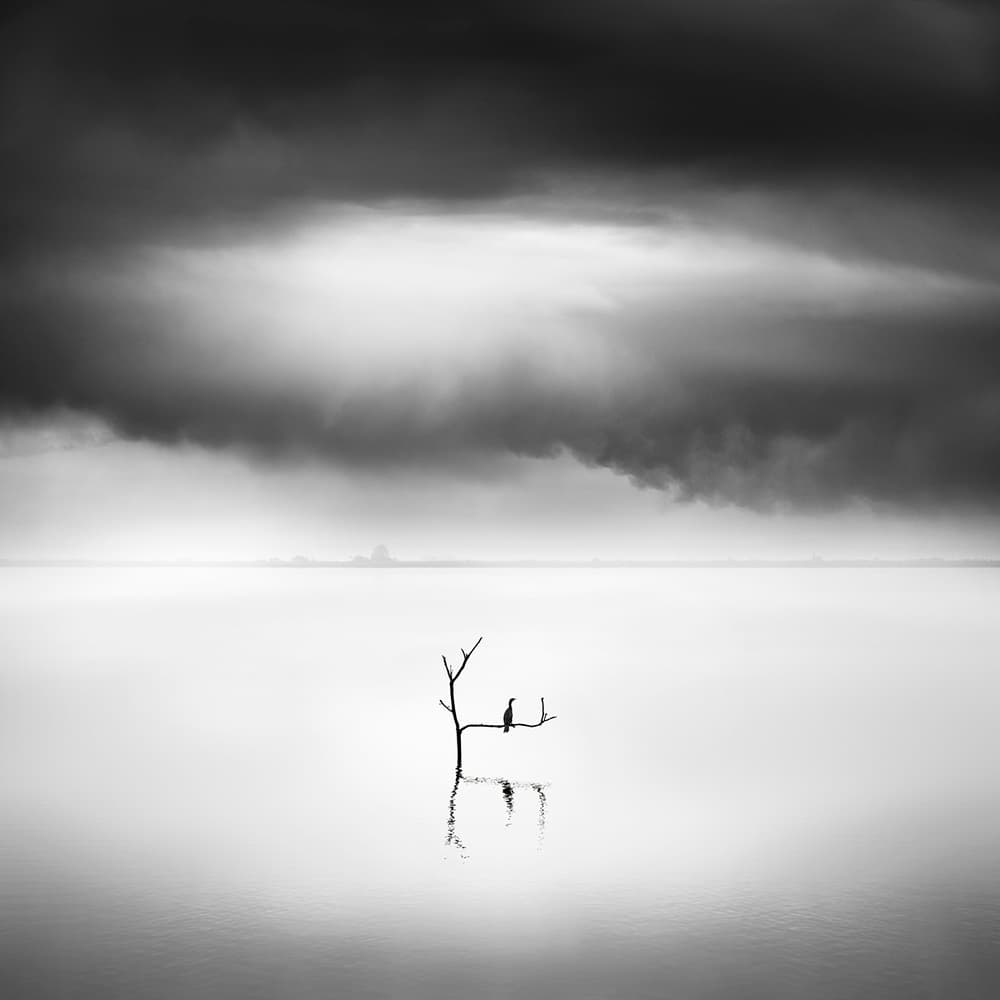 Solitary Bird on Water by George Digalakis — canvas wall art