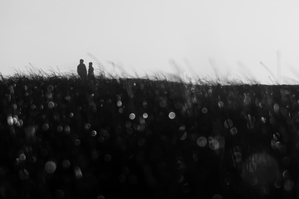Dreamy Horizon Silhouettes by Rui Ferreira — canvas wall art