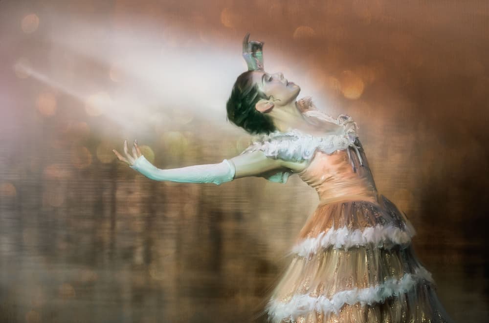 to dance by Charlaine Gerber — canvas wall art