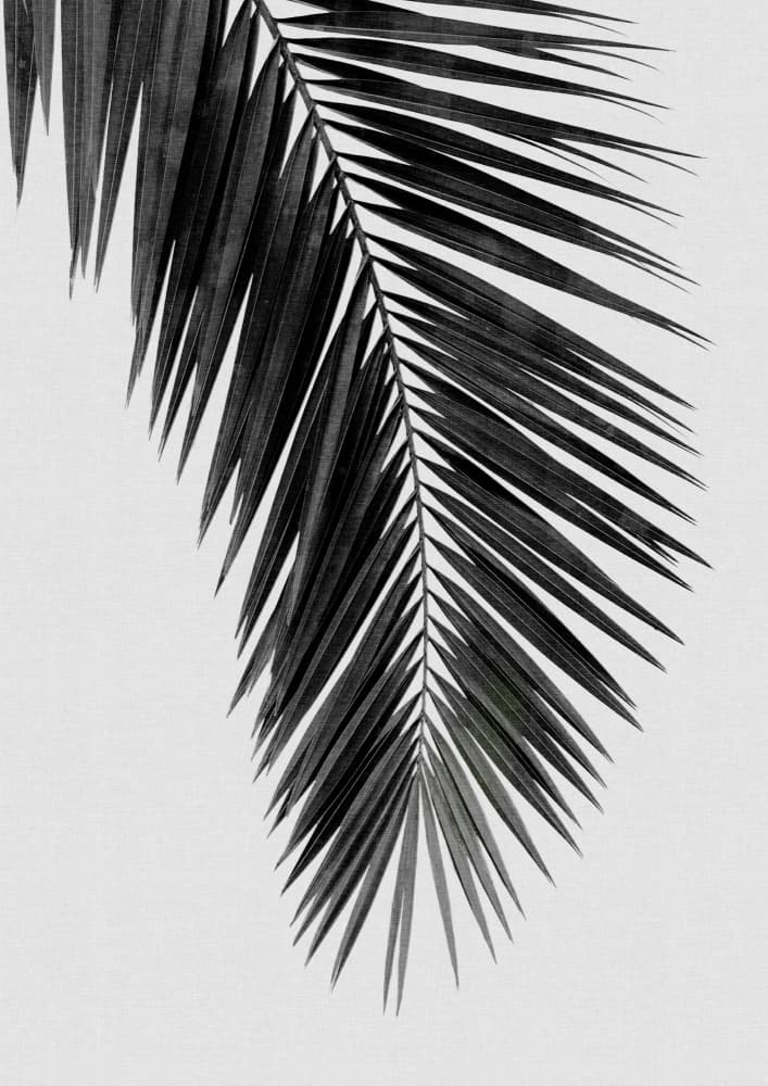 Elegant Palm Silhouette by Orara Studio — canvas wall art