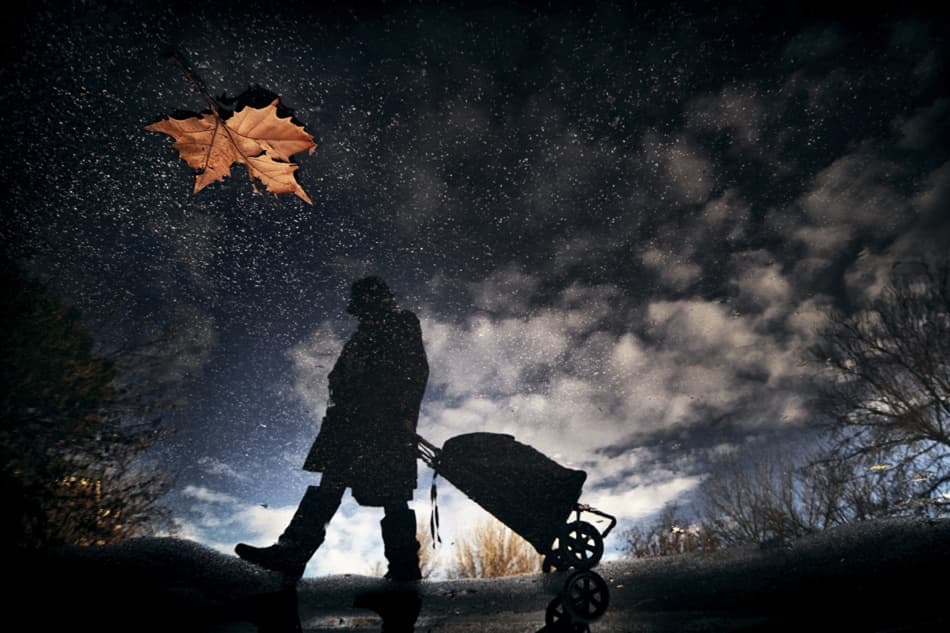 Falling Leaf Reflection by Antonio Grambone — canvas wall art