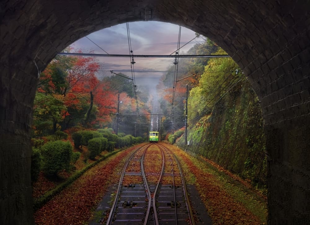 Autumn Train Tunnel by Lisa D. Tang — canvas wall art