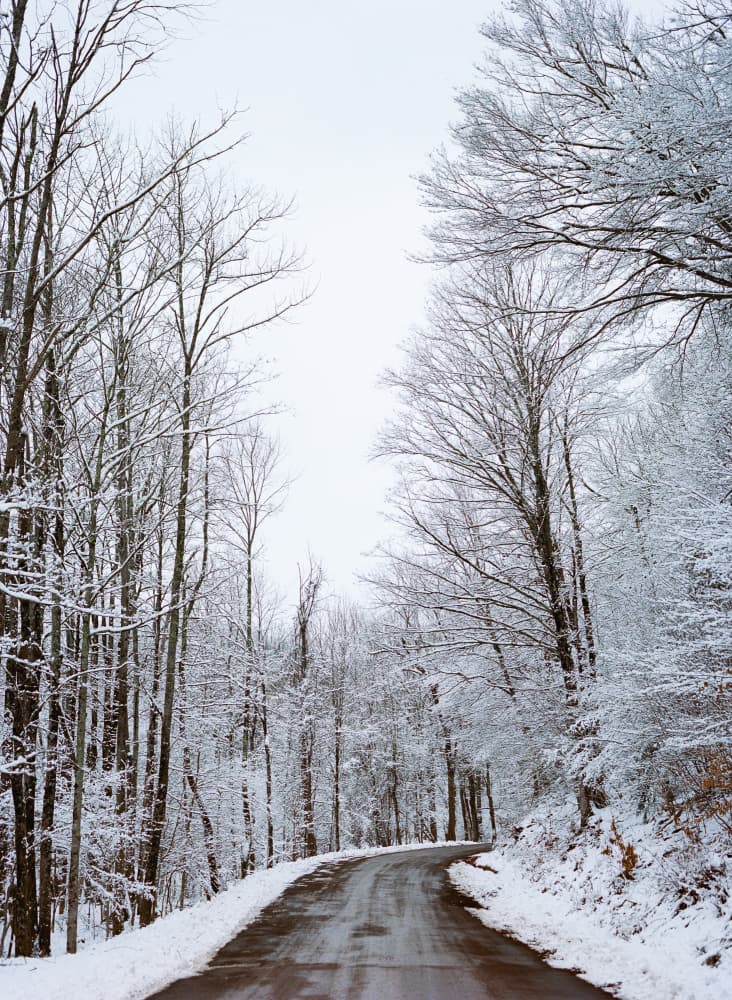 Winding Winter Road by Bethany Young — canvas wall art