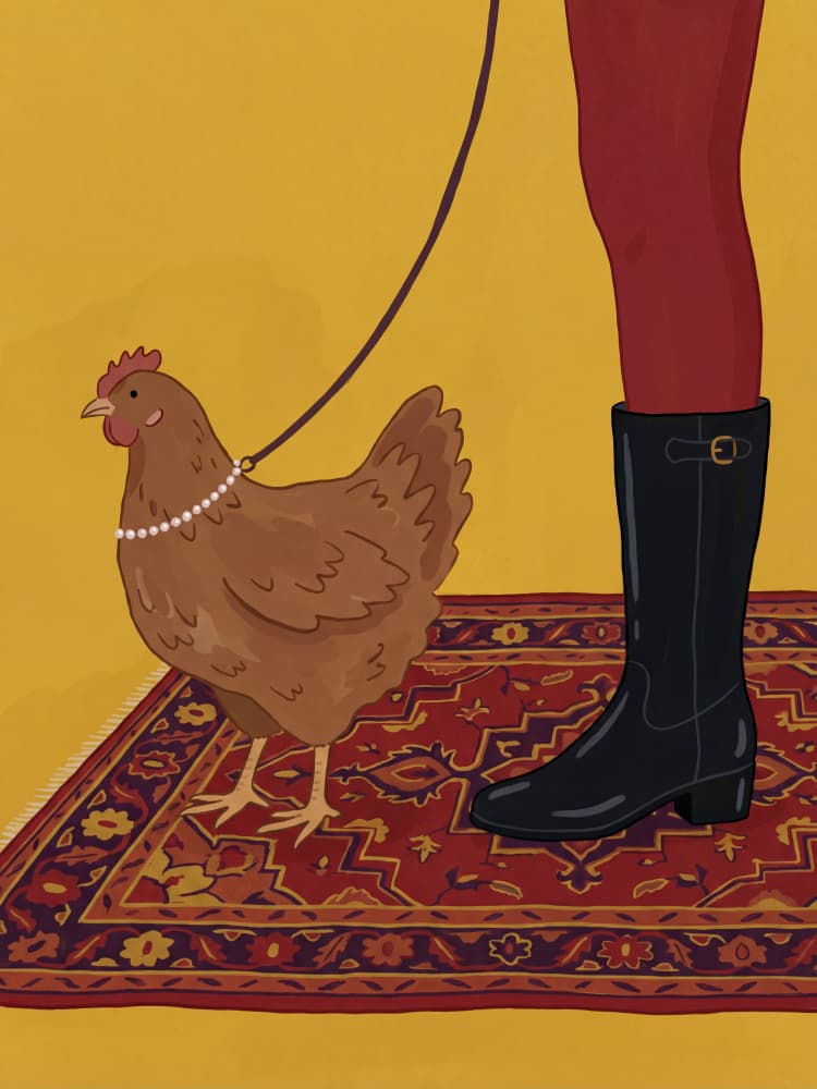 Elegant Chicken Walk by Andreas Magnusson — canvas wall art