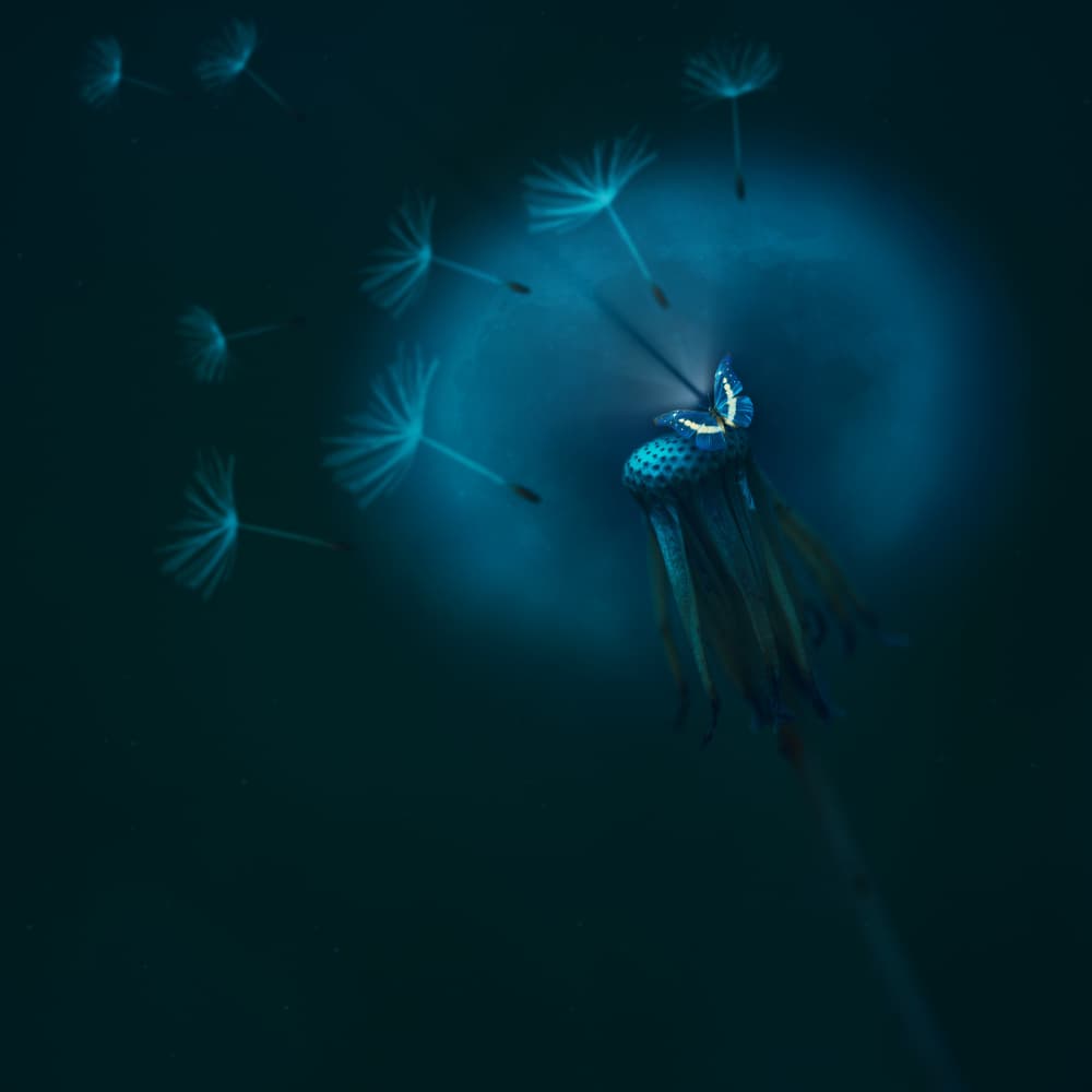 Blue Dandelion Glow by Nikki Georgieva V E G A N I K — canvas wall art