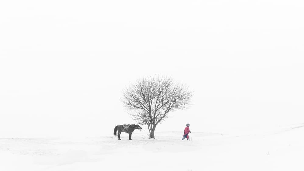 Horse and Person in Snow by Bingo Z — canvas wall art
