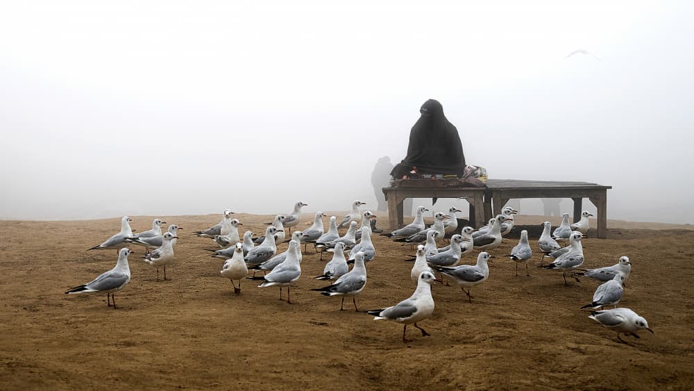 Seagulls In The Fog by Nilendu Banerjee — canvas wall art