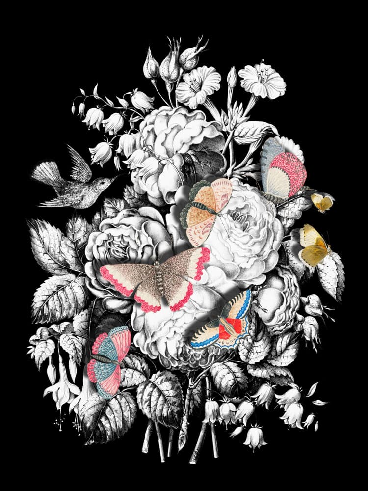 Elegant Floral Butterflies by Marja van den Hurk — canvas wall art