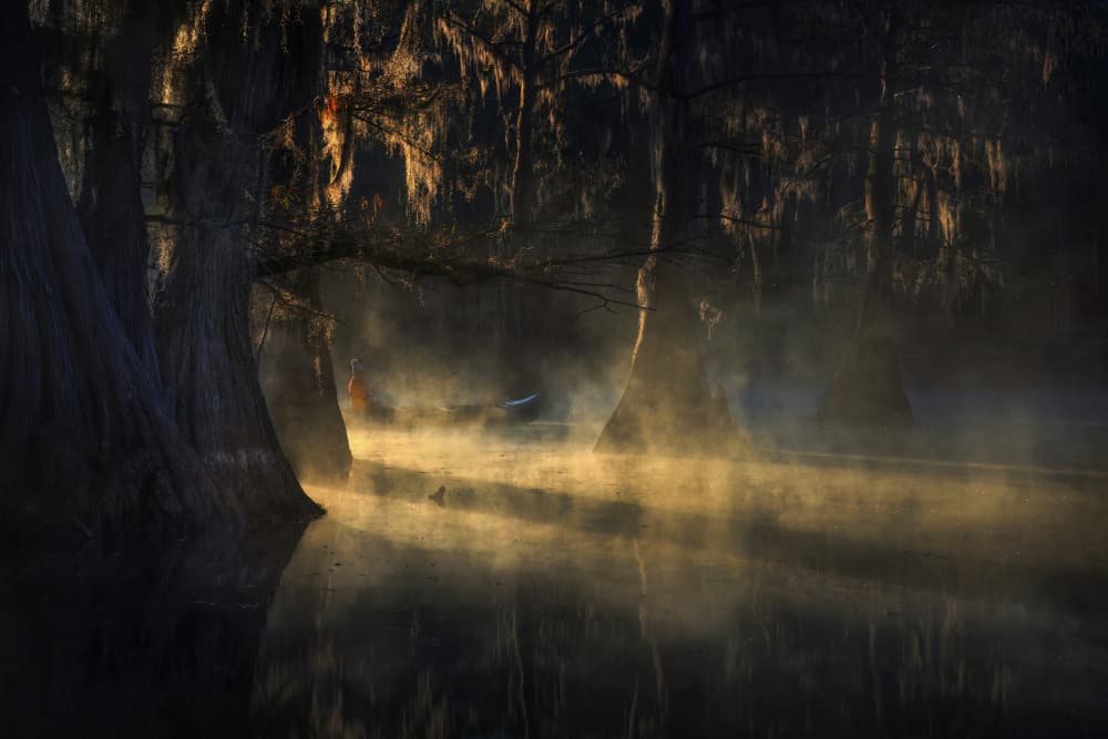 Sunrise Cypress Mist by Ruiqing P. — canvas wall art
