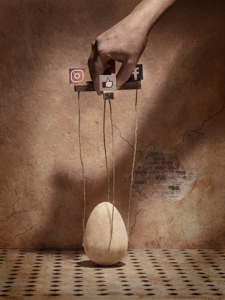 Social Media Puppet by Petri Damstén — canvas wall art