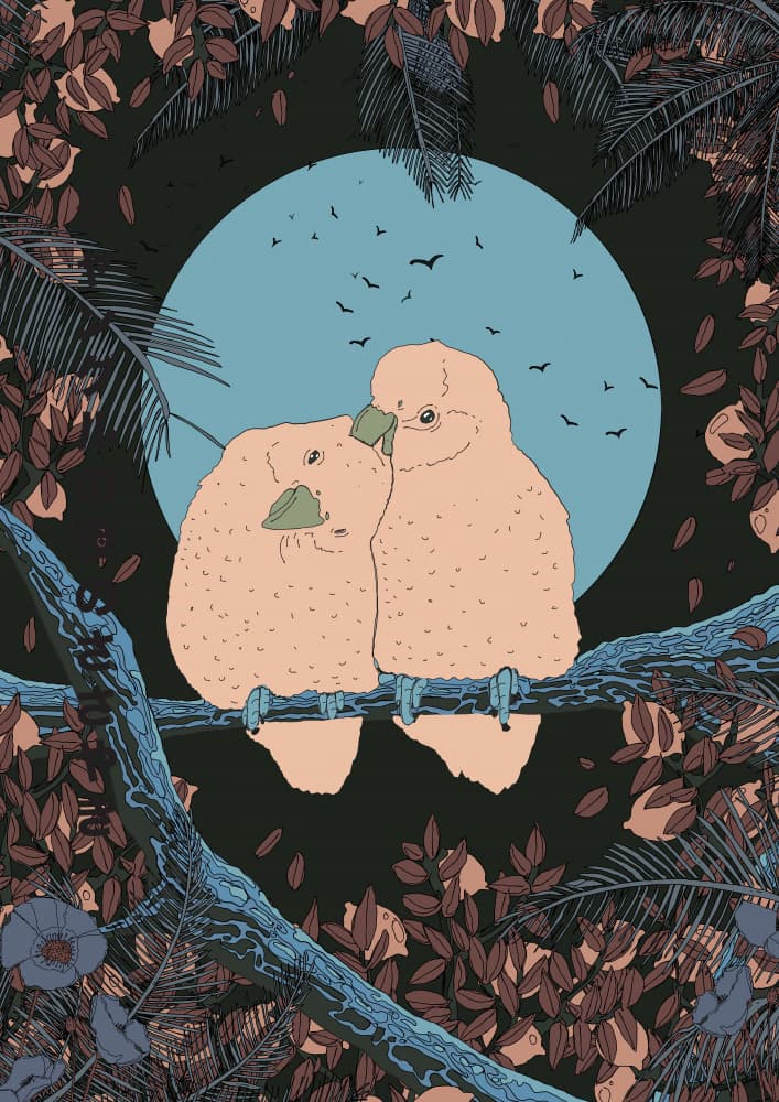 Moonlit Lovebirds by Nicholas — canvas wall art