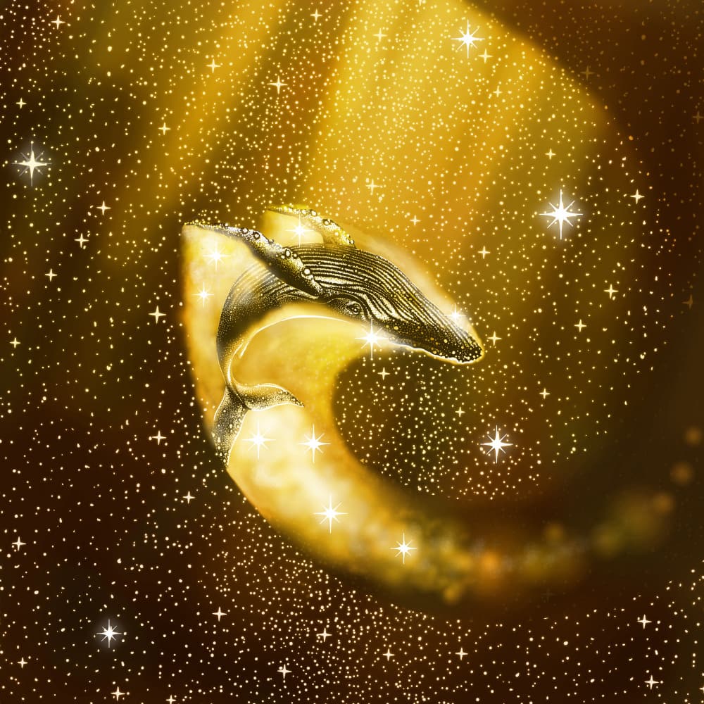 Golden Cosmic Whale by Alirıza ÇAKIR — canvas wall art