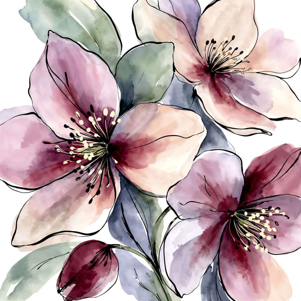 Pink Watercolor Blossoms by Natalie Bruns — canvas wall art