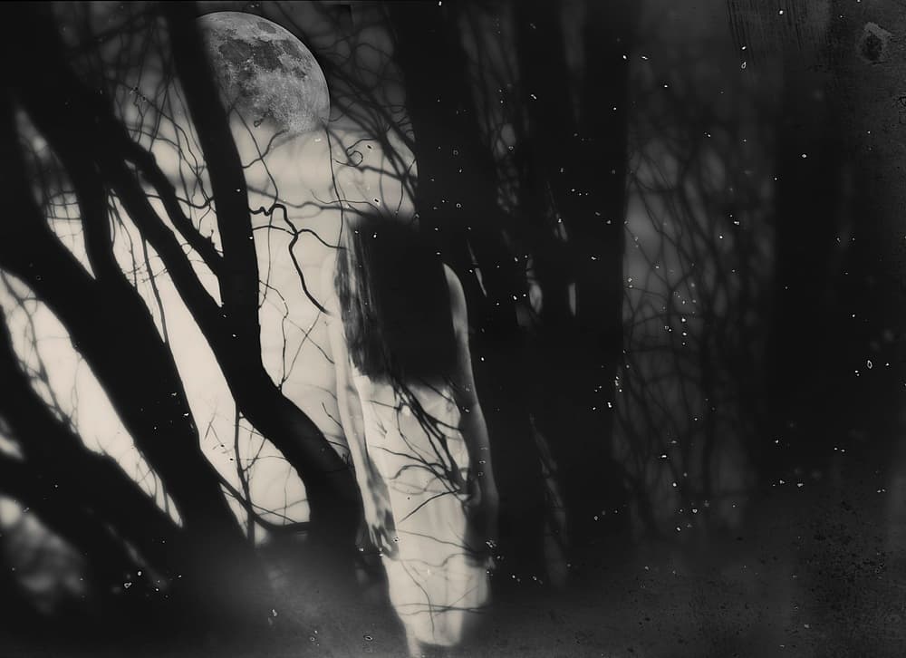 Ghostly Moonlit Woods by Bogdan Bouşcă — canvas wall art
