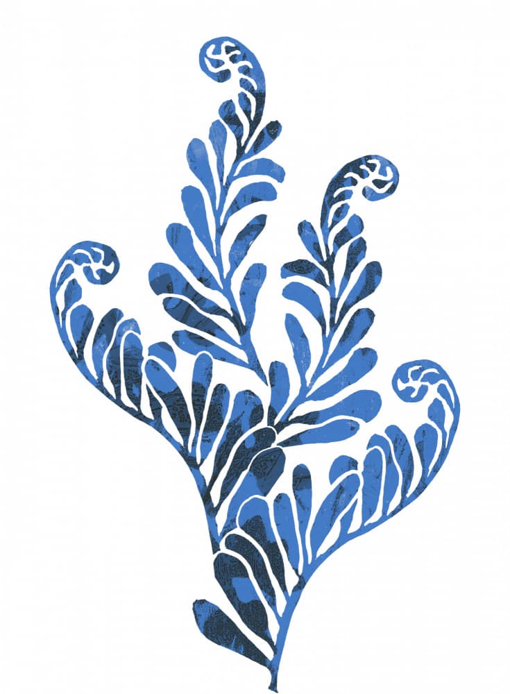 Blue Botanical Fronds by Melissa McKeagney — canvas wall art