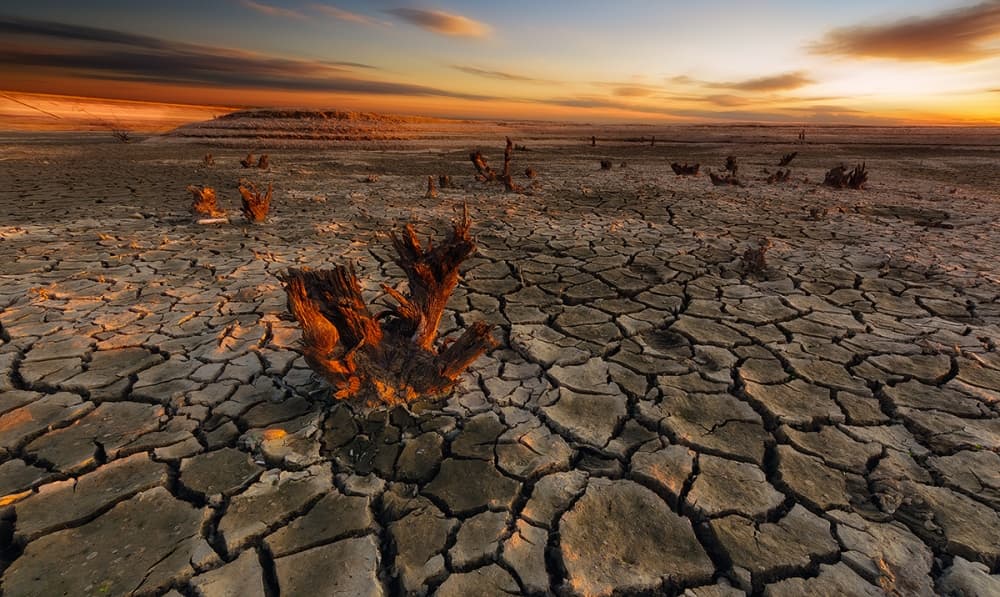 Cracked Earth Sunset by Piotr Krol (Bax) — canvas wall art