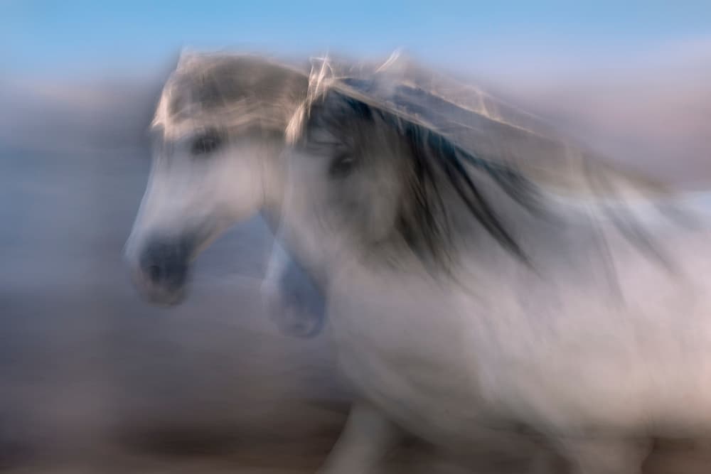 Abstract Horse Movement by Martine Benezech — canvas wall art