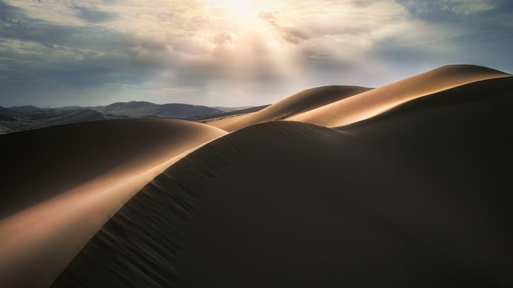 Sunlit Desert Dunes by Yuan Cui — canvas wall art