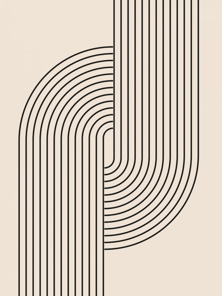 Flowing Geometric Lines by Jolly and Dash — canvas wall art