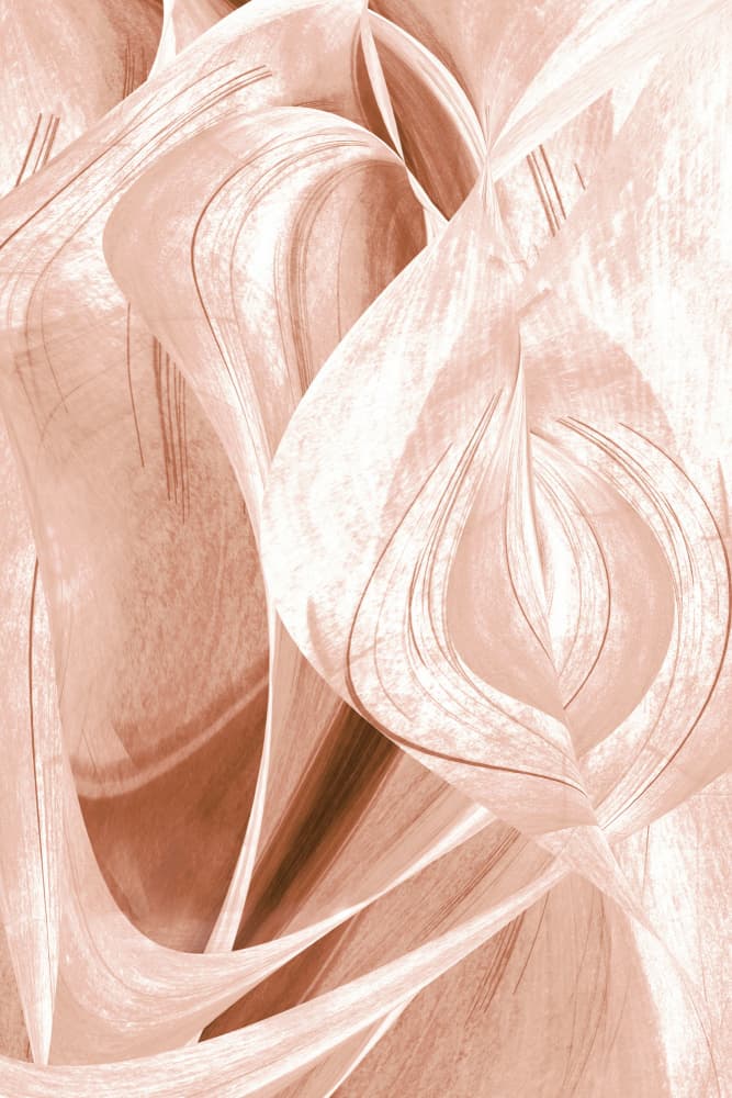 Elegant Flowing Forms by Christina Sillen — canvas wall art