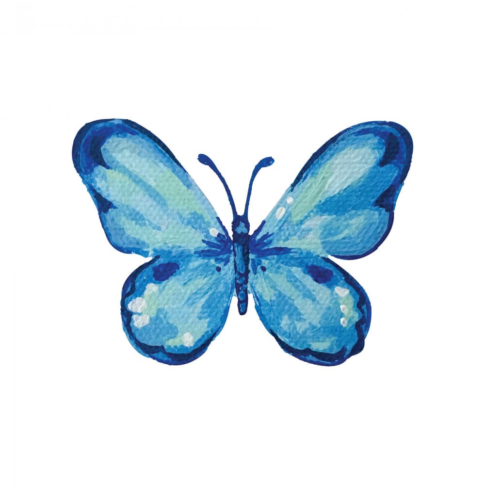 Blue Watercolor Butterfly by Madison Phipps — canvas wall art