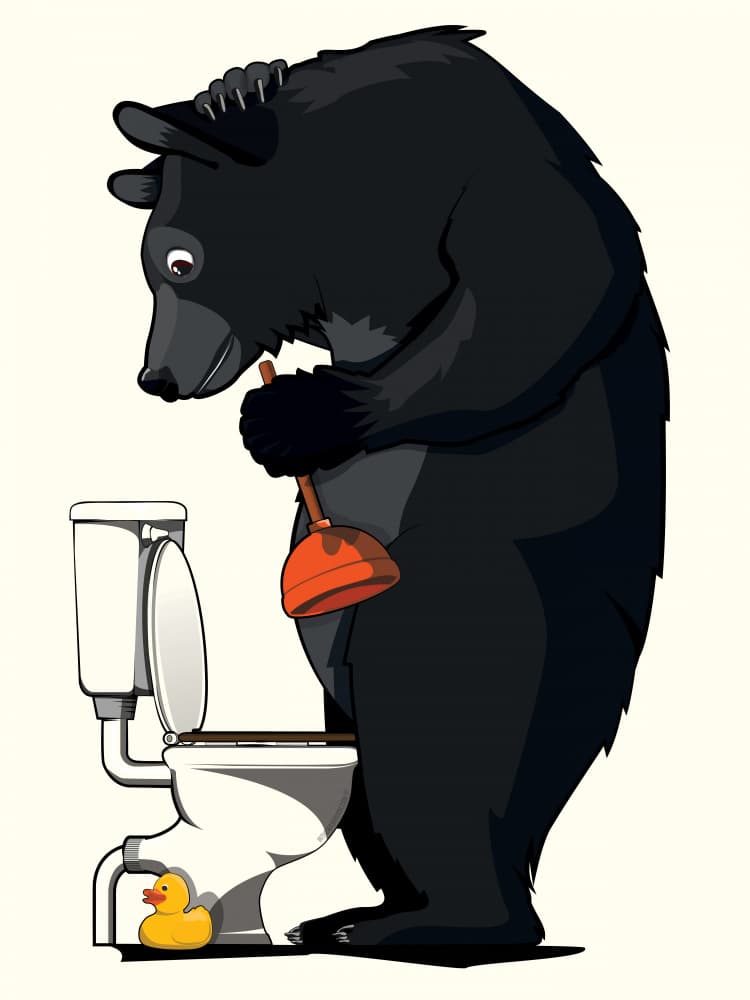 Bear Toilet Troubles by In The Washroom — canvas wall art