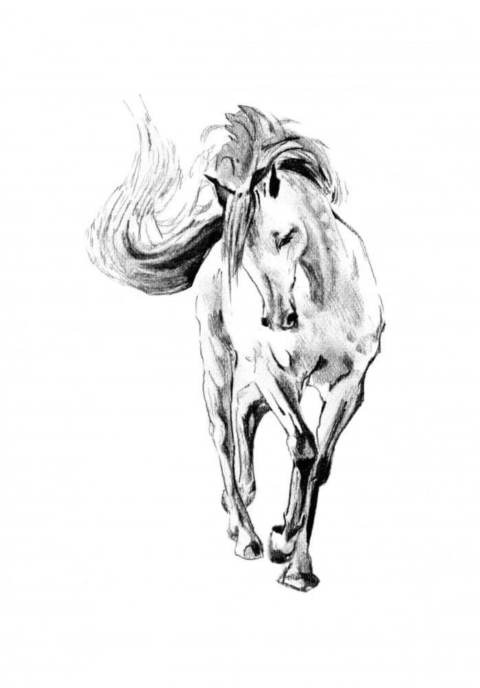 Galloping Horse Sketch by Kulik — canvas wall art