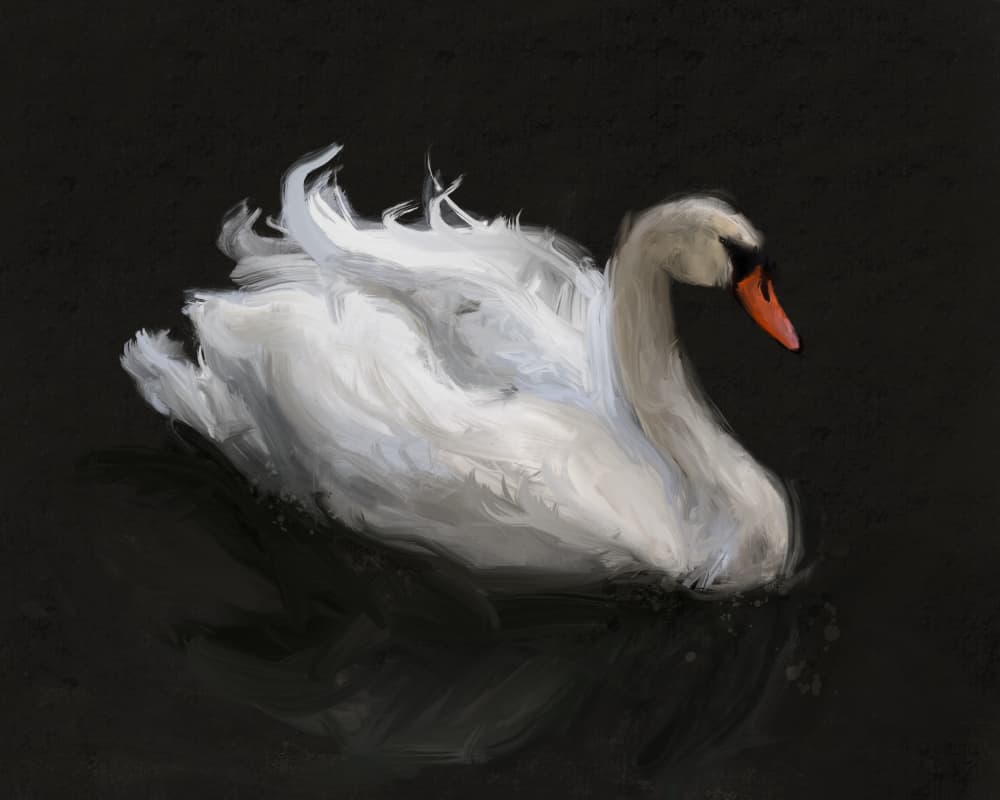 Graceful White Swan by James Zamora — canvas wall art