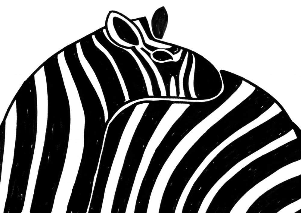 Bold Zebra Stripes by Rosana Laiz Blursbyai — canvas wall art