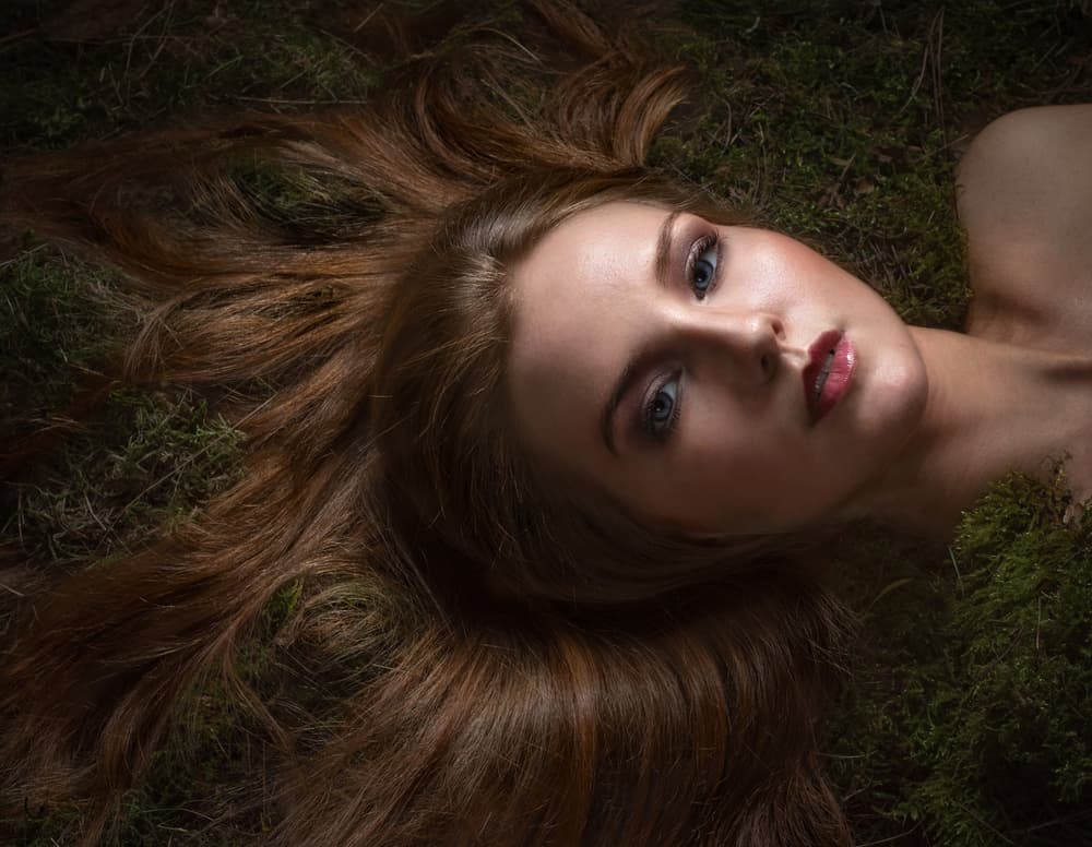 Moss Bed Serenity by Luc Stalmans — canvas wall art
