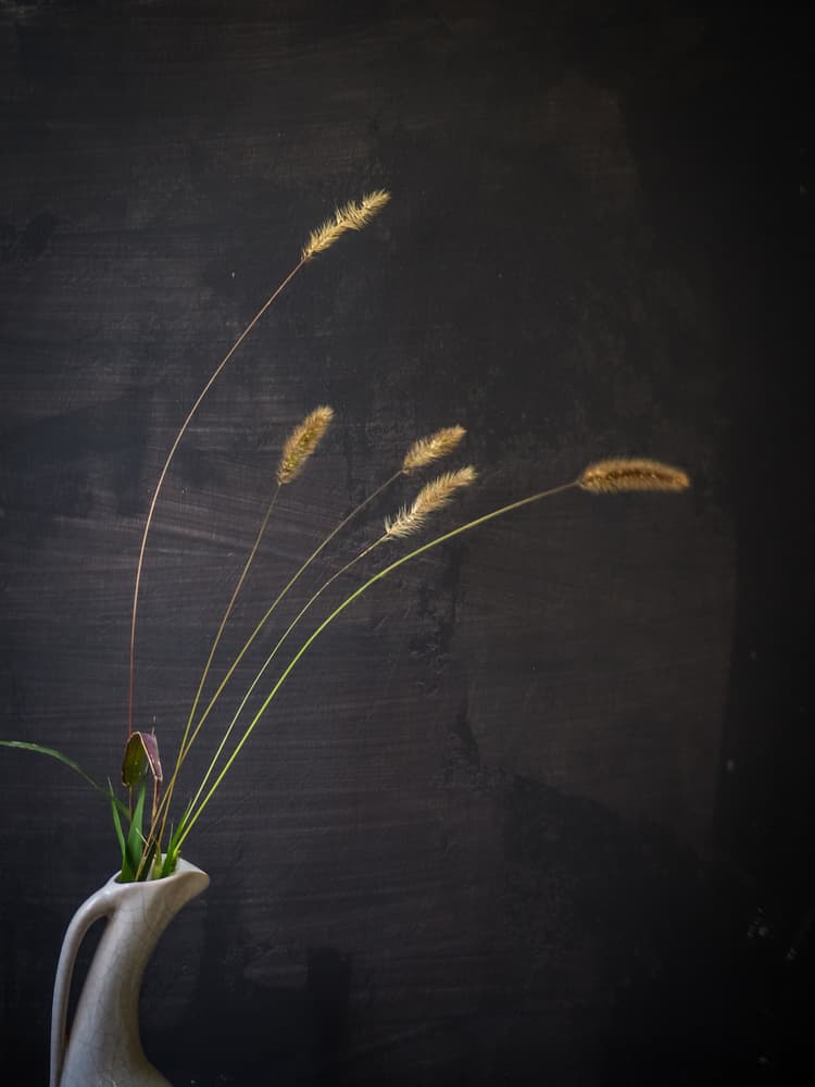 Rustic Grass Arrangement by Marius Surleac — canvas wall art