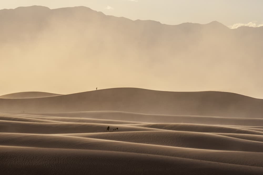 Golden Desert Dunes Walk by HuongHoang — canvas wall art