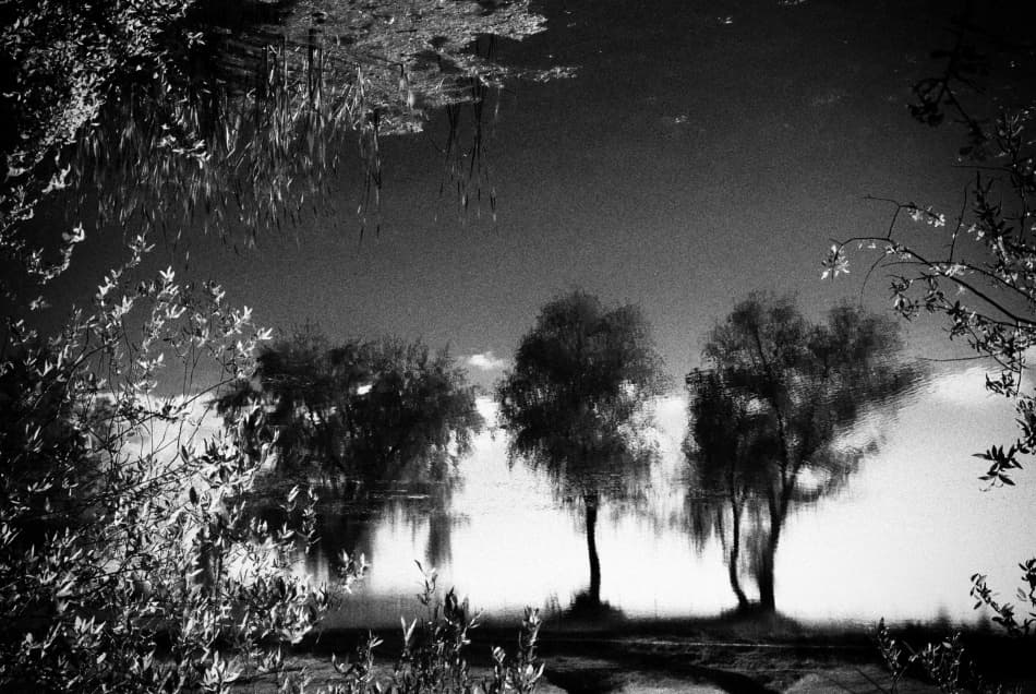 Dreamy Lakeside Reflections by Codrin Lupei — canvas wall art